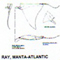 @^RAY/MANTA-ATLANTIC 18