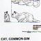 @^CAT/COMMON 9