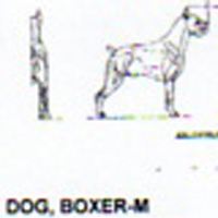 @^DOG/BOXER 7