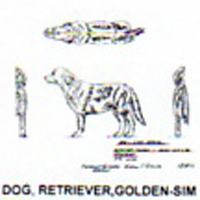 @^DOG/GOLDEN RETRVR 7