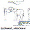 @^ELEPHANT/AFRICAN 7