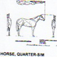 @^HORSE/QUARTER 7