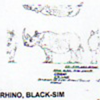 @^RHINO/BLACK 11