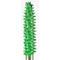 TAPER COARSE GREEN
