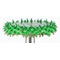 ROTOSAW COARSE GREEN